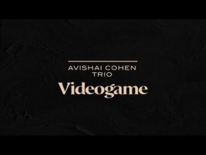 Avishai Cohen Trio - Videogame