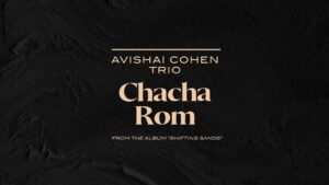 Video Thumbnail: Avishai Cohen Trio - Chacha Rom (from the new album "Shifting Sands")