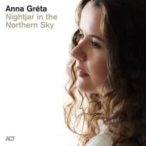 Anna-Greta-Nightjar-in-the-Northern-Sky