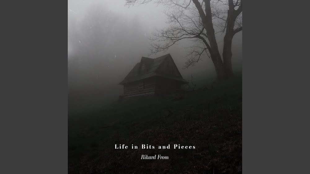 Rikard From - Life in Bits and Pieces