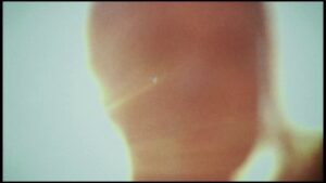 Video Thumbnail: Ane Brun - I Want To Know What Love Is