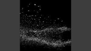 Video Thumbnail: Sonogram (String Quartet Version)