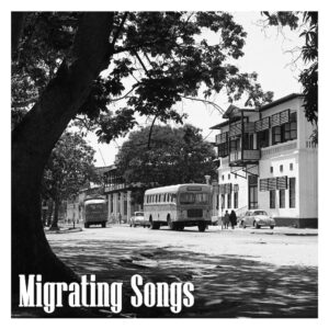 אלבום השבוע של נגנים אירופאיים: Niclas Knudsen Trio - Migrating Songs