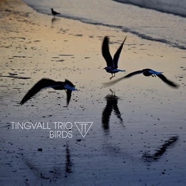 אלבום השבוע של מוזיקה מרגיעה ומעודנת: Tingvall Trio – Birds