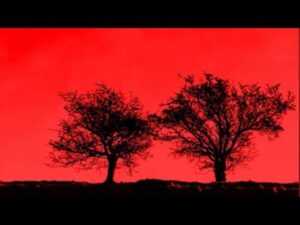 Video Thumbnail: Paranoia Blues · Jon Allen