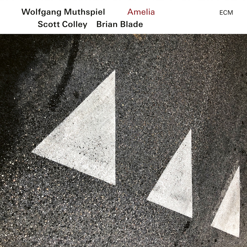 Wolfgang Muthspiel, Scott Colley & Brian Blade - Amelia