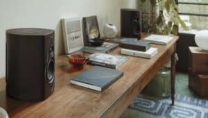 Sonus-Faber-Duetto-1