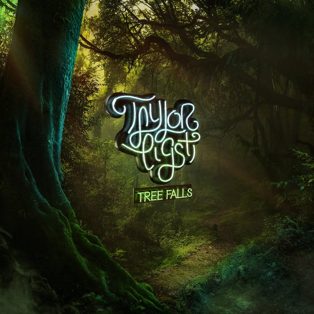 מוזיקה מחזקת:  Taylor Eigsti - Tree Falls