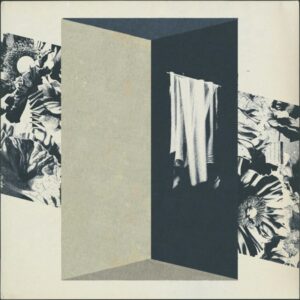 אלבום השבוע של מוזיקה מרגיעה מרחבי העולם: Hvalfugl, Who Killed Bambi - Drømme