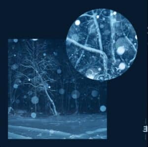 Daniel Herskedal - White Mountain Sunrise