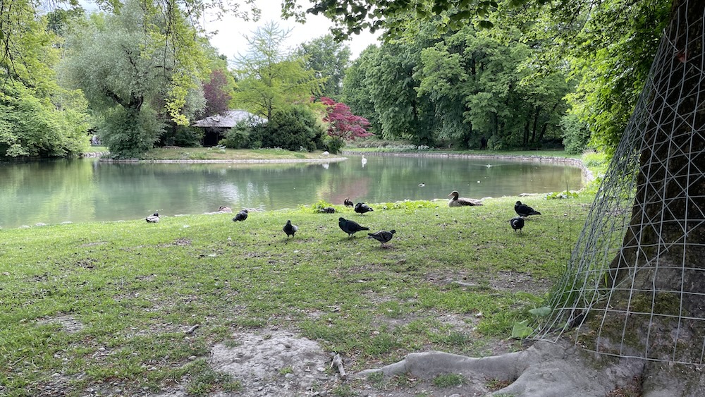 Englischer Garten מינכן 2025