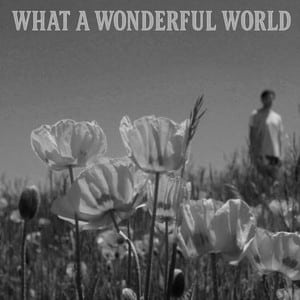 Mark Shiiba - What a Wonderful World