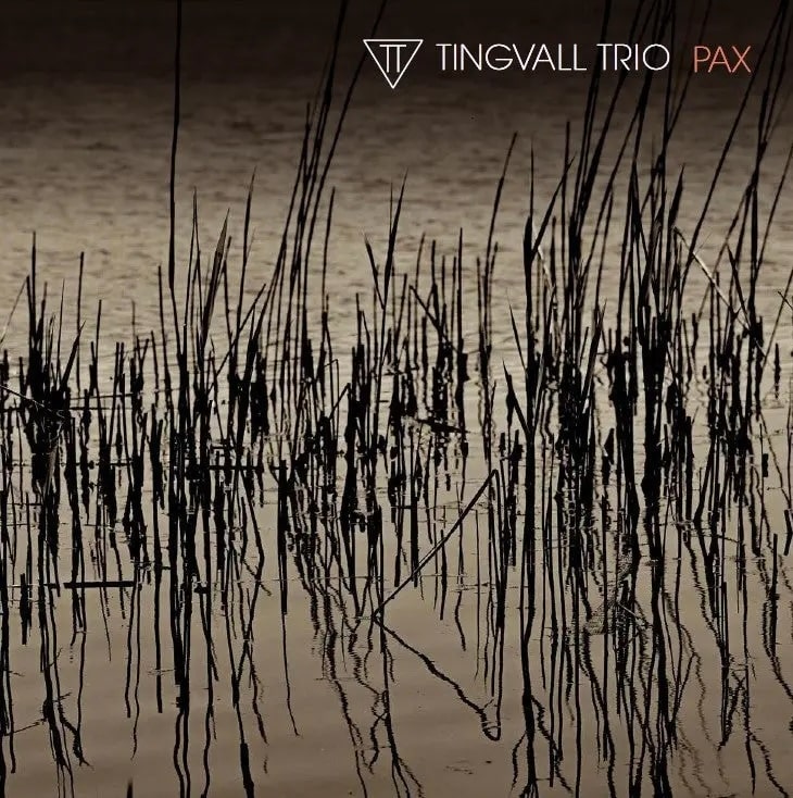 אלבום השבוע של Jazz VS Blues - ג׳אז מול בלוז: Tingvall Trio - PAX