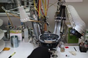 ביקור Morel 202510