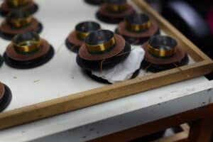 ביקור Morel 202511