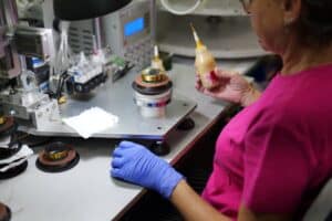 ביקור Morel 202512