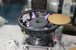 ביקור Morel 202518