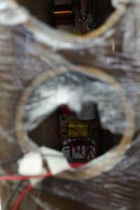 ביקור Morel 202529