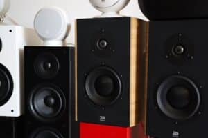 ביקור Morel 20253