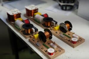 ביקור Morel 202530