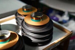 ביקור Morel 20259