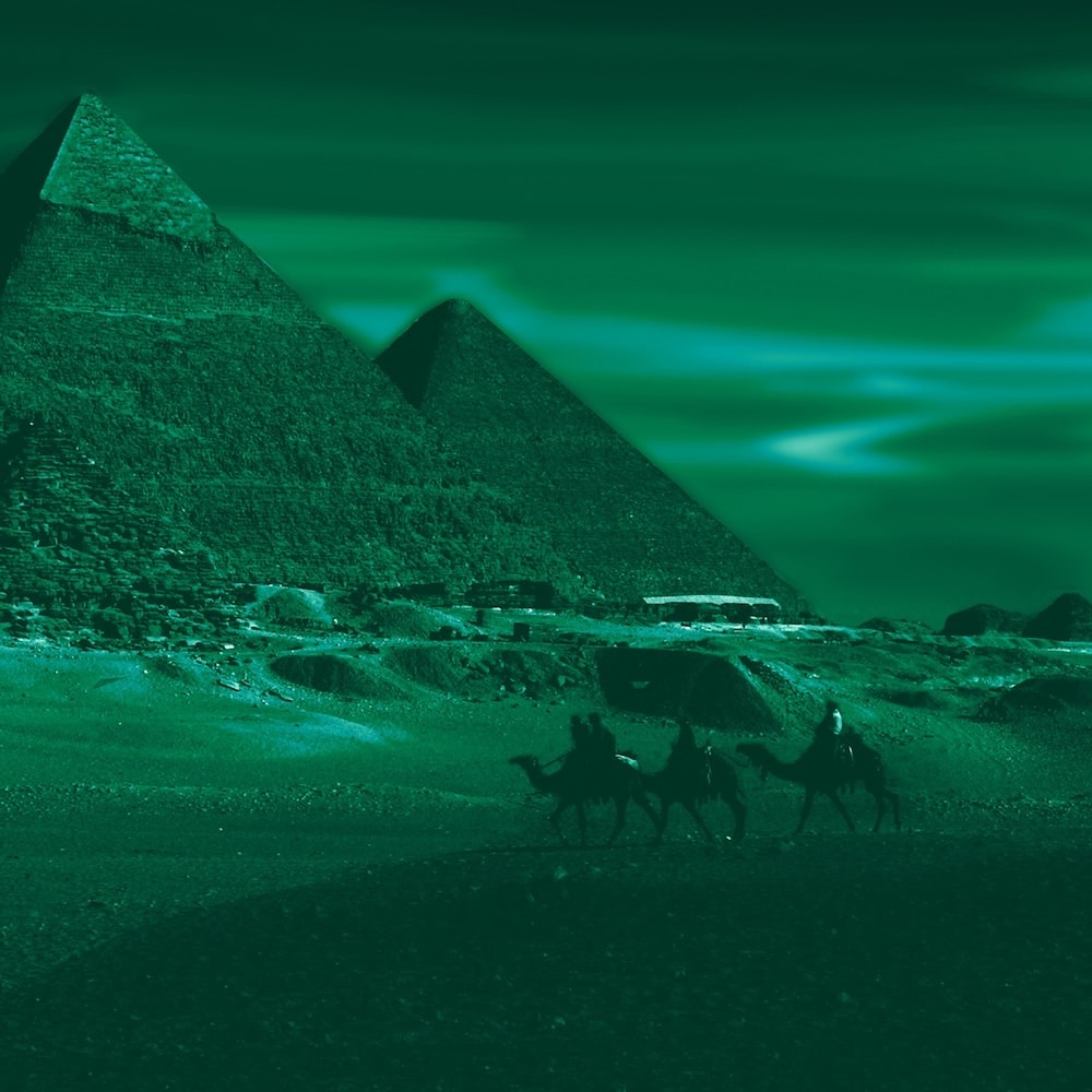 Devon Allman - nightvision