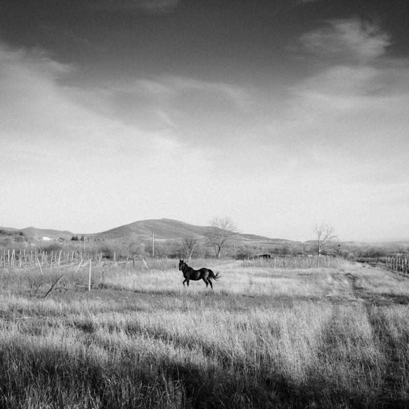Andrii Pokaz, STUDNITZKY - Last Dance