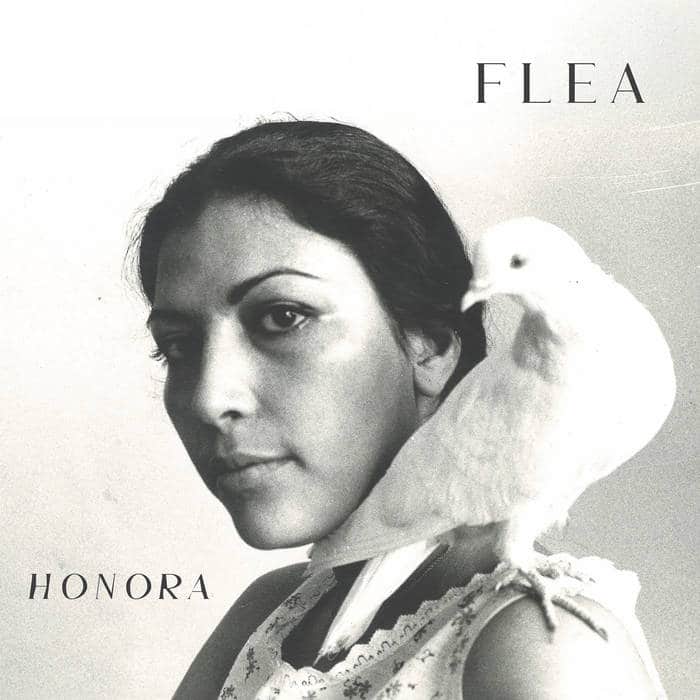 אלבום השבוע של Jazz מגוון: Flea – Honora