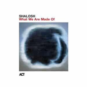  Shalosh - What We Are Made Of