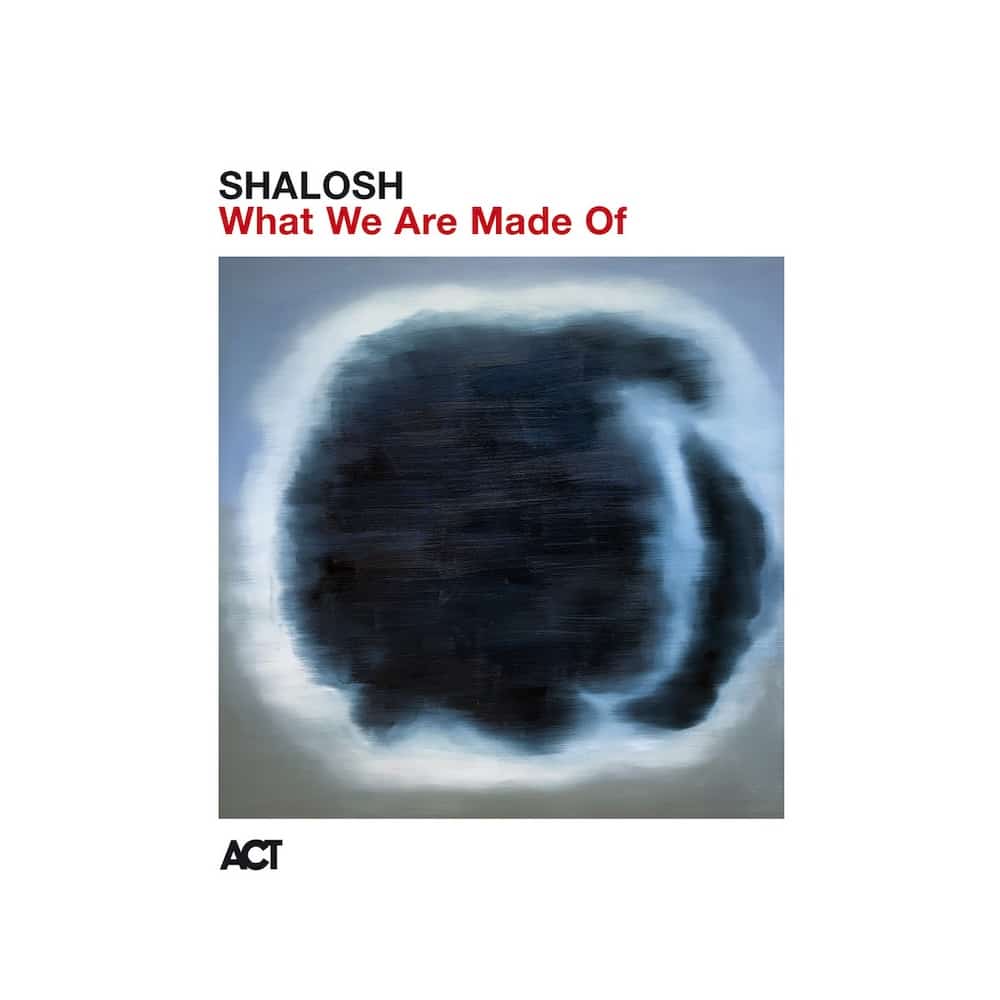  Shalosh - What We Are Made Of