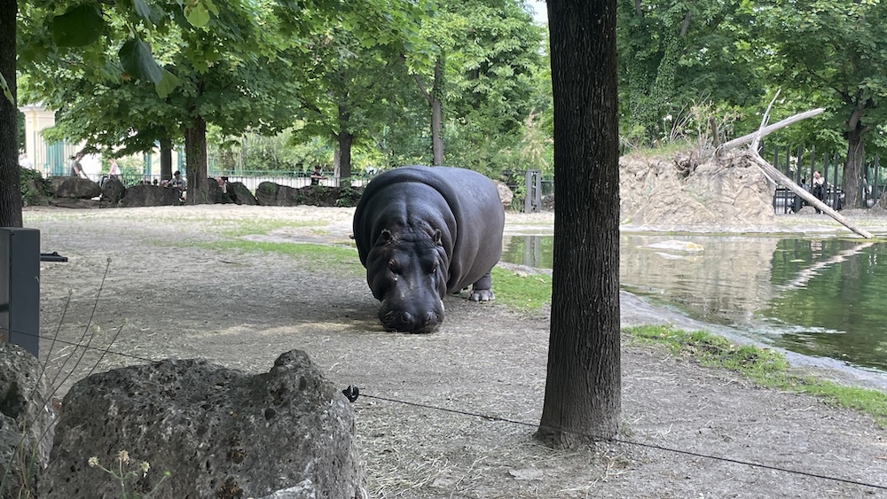 Volksgarten